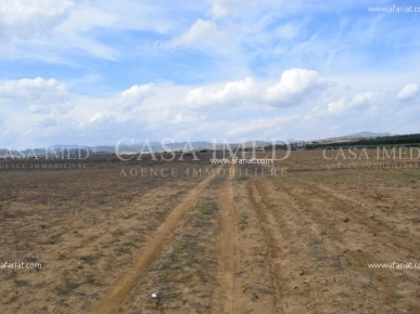 Terrain à hammamet sud a 24000 dt