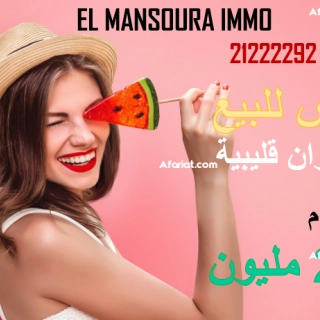 prix choc des lots de terrain à plage dar allouche prix choc des lots de terrain à plage dar allouche