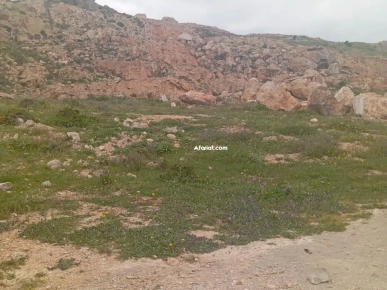À Vendre – Terrain de 3,5 Hectares avec Gisement de Marbre