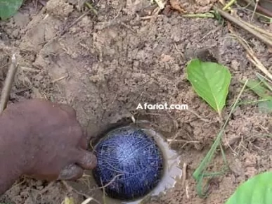Rituel d’amour, Magie Banche Retour de l'Etre aimée EN 2 JOUR