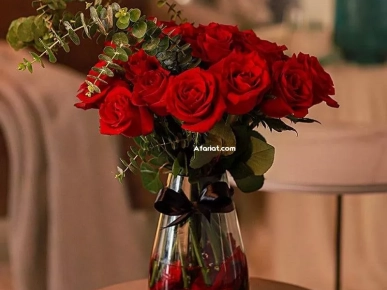 splus2 nabeul pres steg