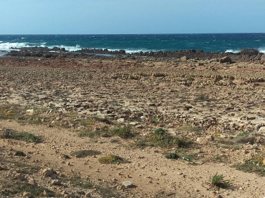 Un terrain pied dans l'eau à El Haouaria