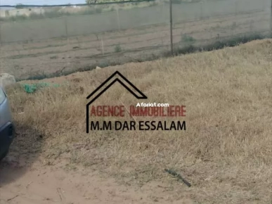 terrain agricole à vendre