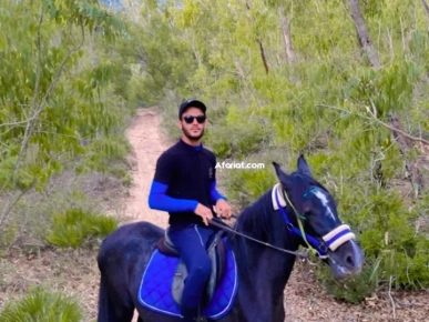 Équitation et balade forêt ou plages