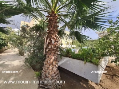 VILLA LIMA Hammamet Nord Zone Touristique AV1751