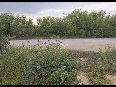 Un terrain de 1000m2 sur la route principale sidi younes
