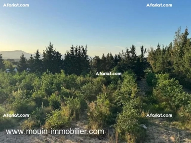 FERME ASIL Beni Ouiel Hammamet T1206