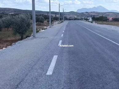 Terrain agricole 8000m² à Ain Safsaf Terrain agricole 8000m² à Ain Safsaf