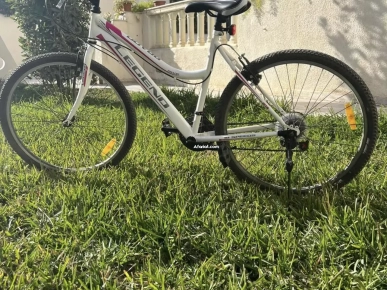 Vélo pour adulte