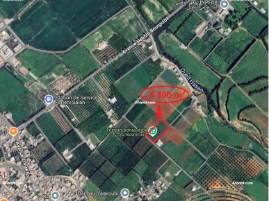 أرض زراعية رائعة بشهادة ملكية - فرصة نادرة في سيدي ثابت!