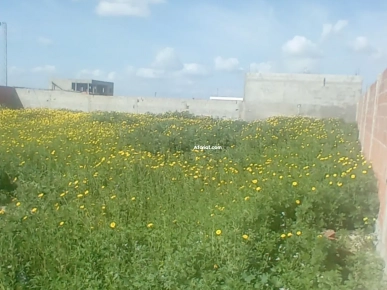 Terrain à vendre – 500 m² à Borj Touil, Hay Chaker 2