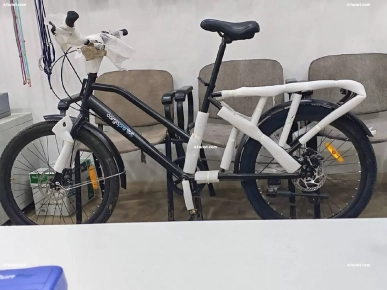 Vélo Cargo Pro Neuf - Idéal pour Livraison / Transport (0 Km)