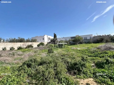 Un terrain de 650 m² dans la zone de Sidi Mahressi à vendre