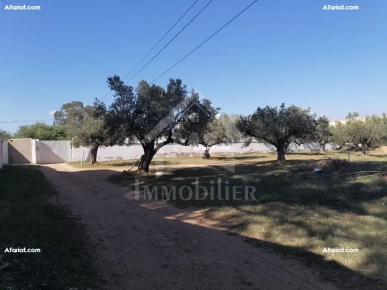 à vendre un superbe terrain 555m² à HAMMAMET SUD