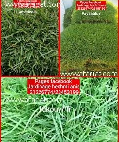 vente et posez gazon americain vente et posez gazon americain