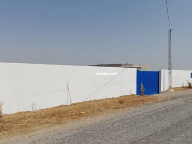 un terrain de 1 hectare à vendre