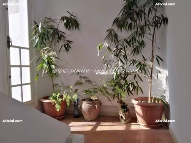 Réf : L491 Appartement Sami Réf : L491 Appartement Sami