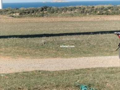 terrain près de la mer