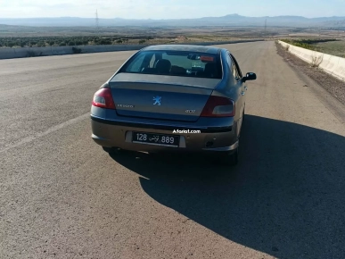 Peugot 407