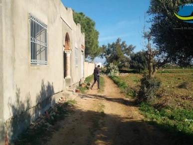 offre de terrain de 150 m à kélibia