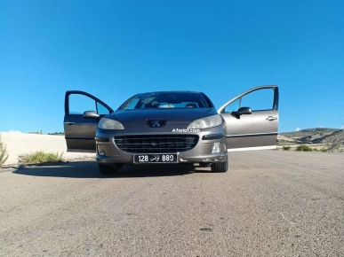 Peugot 407