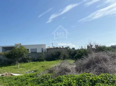 Un terrain de 650 m² dans la zone de Sidi Mahressi à vendre 51355