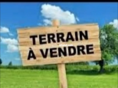 ارض لبيع في جربة ارض لبيع في جربة