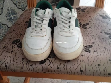Lacoste pointure 41 /96353583