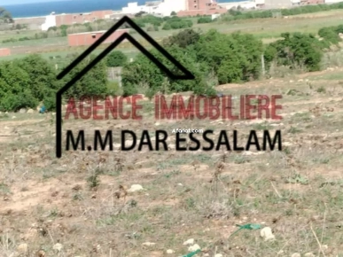 terrain près de la mer