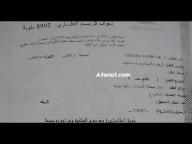 أي نعم فرصة