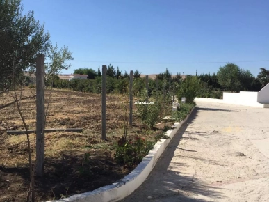 Très bonne affaire Très bonne affaire