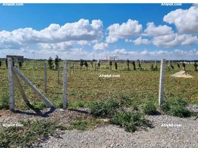 Terrain clôturé de 1000 m² à vendre à 110 MD à Hammamet Sud