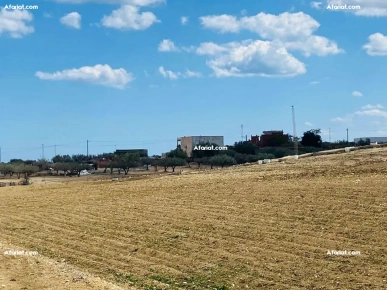 un terrain à bouficha 10 min de la plage saloum un terrain à bouficha 10 min de la plage saloum