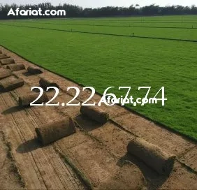 gazon naturelle decoration jardin gazon naturelle decoration jardin