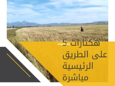 5 Hectares Bir Mchergua 5 Hectares Bir Mchergua