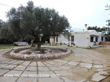 VILLA CITRUS Hammamet Sud AV1160