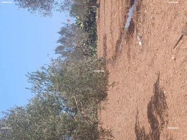 A vendre terrain de 2000 m² a darroufa maamoura A vendre terrain de 2000 m² a darroufa maamoura