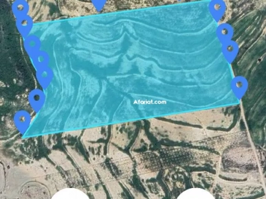 أرض فلاحية للبيع بعين عسكر أرض فلاحية للبيع بعين عسكر