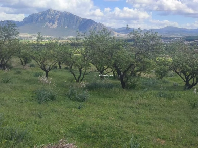 terrain agricole à Ksibi Mornag