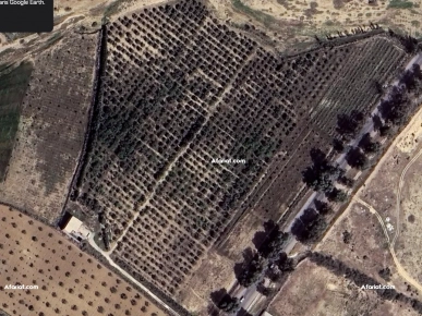 À Vendre – Ferme Agricole à Rakkada, Kairouan À Vendre – Ferme Agricole à Rakkada, Kairouan