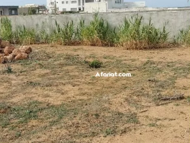 terrain près de la mer