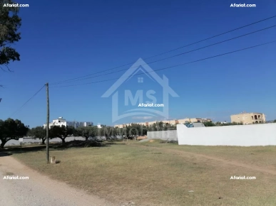 à vendre un superbe terrain 555m² à HAMMAMET SUD