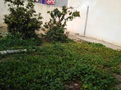 Vente d'une maison+Studio en bon état à Miskia Vente d'une maison+Studio en bon état à Miskia