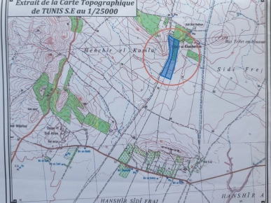 Lots de terrains de 1000m2 a 50 dt le m2 a birine bouhamed