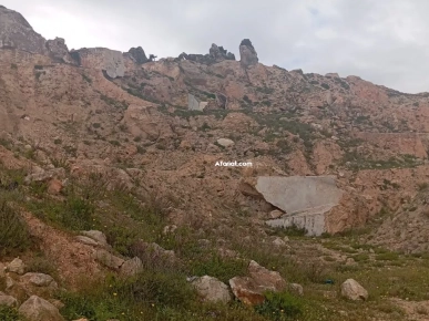 À Vendre – Terrain de 3,5 Hectares avec Gisement de Marbre – Proc