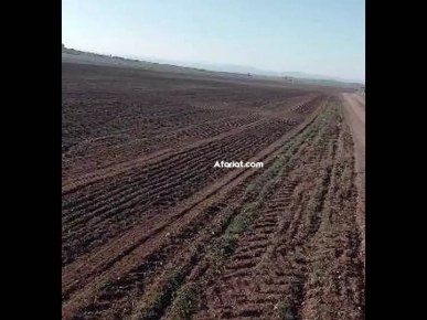 للبيع 16هكتارات في بئر مشارقة زغوان للبيع 16هكتارات في بئر مشارقة زغوان