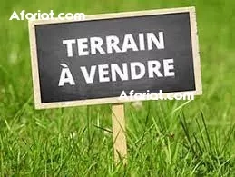Terrain avec autorisation de bâtir à vendre Terrain avec autorisation de bâtir à vendre