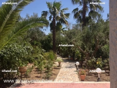 Dar L'Olivier AL120 Hammamet zone theatre