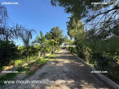 Ferme Beni Khaled II T1225 Nabeul