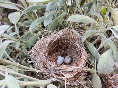 Maison Ayda Maison Ayda